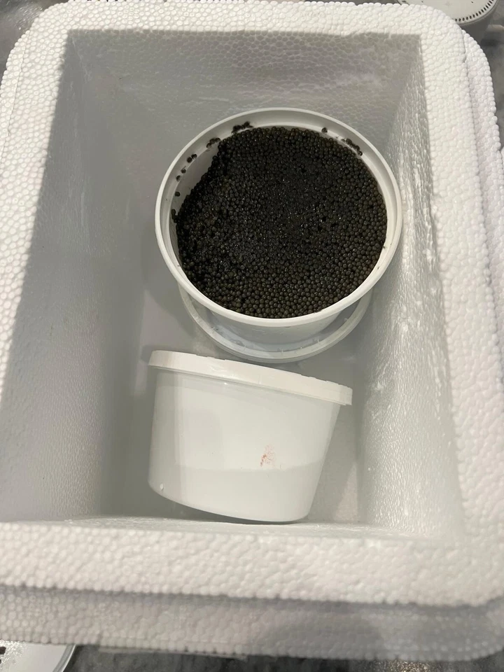 Selling wild black caviar Paddlefish - Image 2 of 4