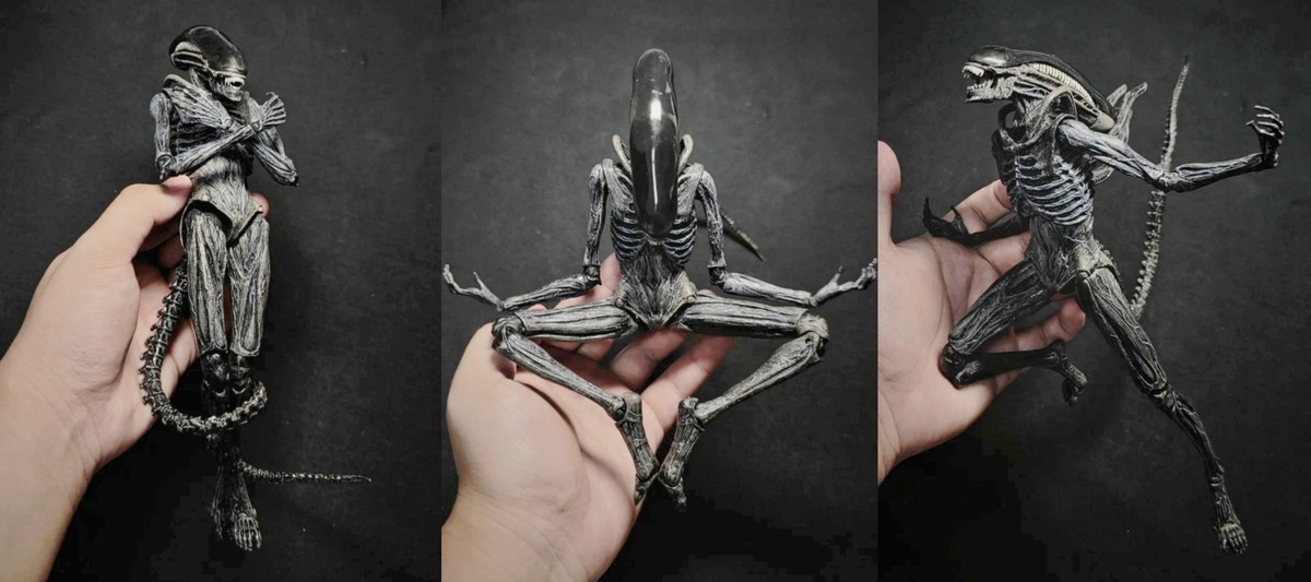特撮 NECA Alien: Covenant - 7&quot; Scale Action Figure - Xenomorph Action Figure Amazon.com: NECA Alien: Covenant - 7