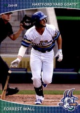 2018 Hartford Yard Goats SGA Grandstand 36 Forrest Wall Winter Park Florida Card