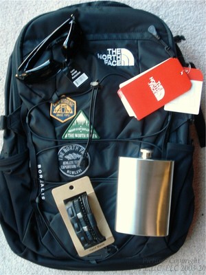 north face borealis patch