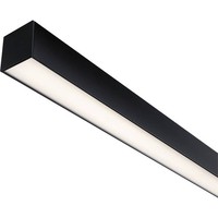Paulmann Linion 98181 Einspeisung Schwarz