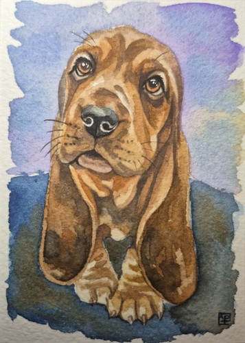 ACEO Watercolor Handmade Painting OOKA "I'm all Ears!" Dog Pup Hound