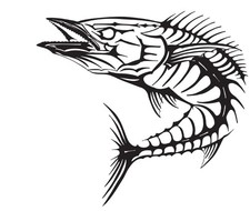 Decal Vinyl Sticker Wahoo Bones - Printed Vinyl Decal Made in USA