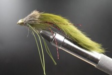 Olive Zuddler Red Streak - CLOSING DOWN PRICE!