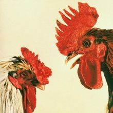 No Comprendo von Khan | CD | Zustand sehr gut