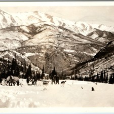 1920s Western Mountain Snapshot Photo Pack Horse Train Winter Snow Landscape Dog