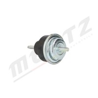 Mertz Motorlager Vorne Rechts Passend FüR CitroËN Berlingo Xsara Peugeot 206