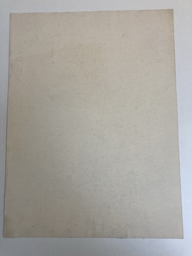 Grand Dessin XIXe 1850 crayon Jardin Tour Romantisme Arbre Ancien A Identifier - Photo 8/9