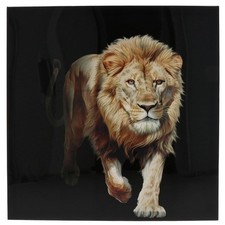 Shudehill Giftware Regal Lion Canvas Wall Art Big Cat Wildlife Panel