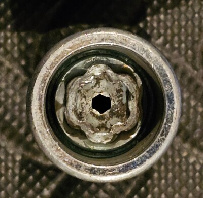 くま カートリッジY1 Buy Canon 0148C001 (STAPLE-Y1) Staple