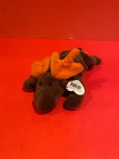 TY Beanie Baby - Chocolate the Moose 7.5 inch 4015