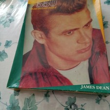 VTG NIB James Dean 550 Piece Golden Spotlight Puzzle 15.5