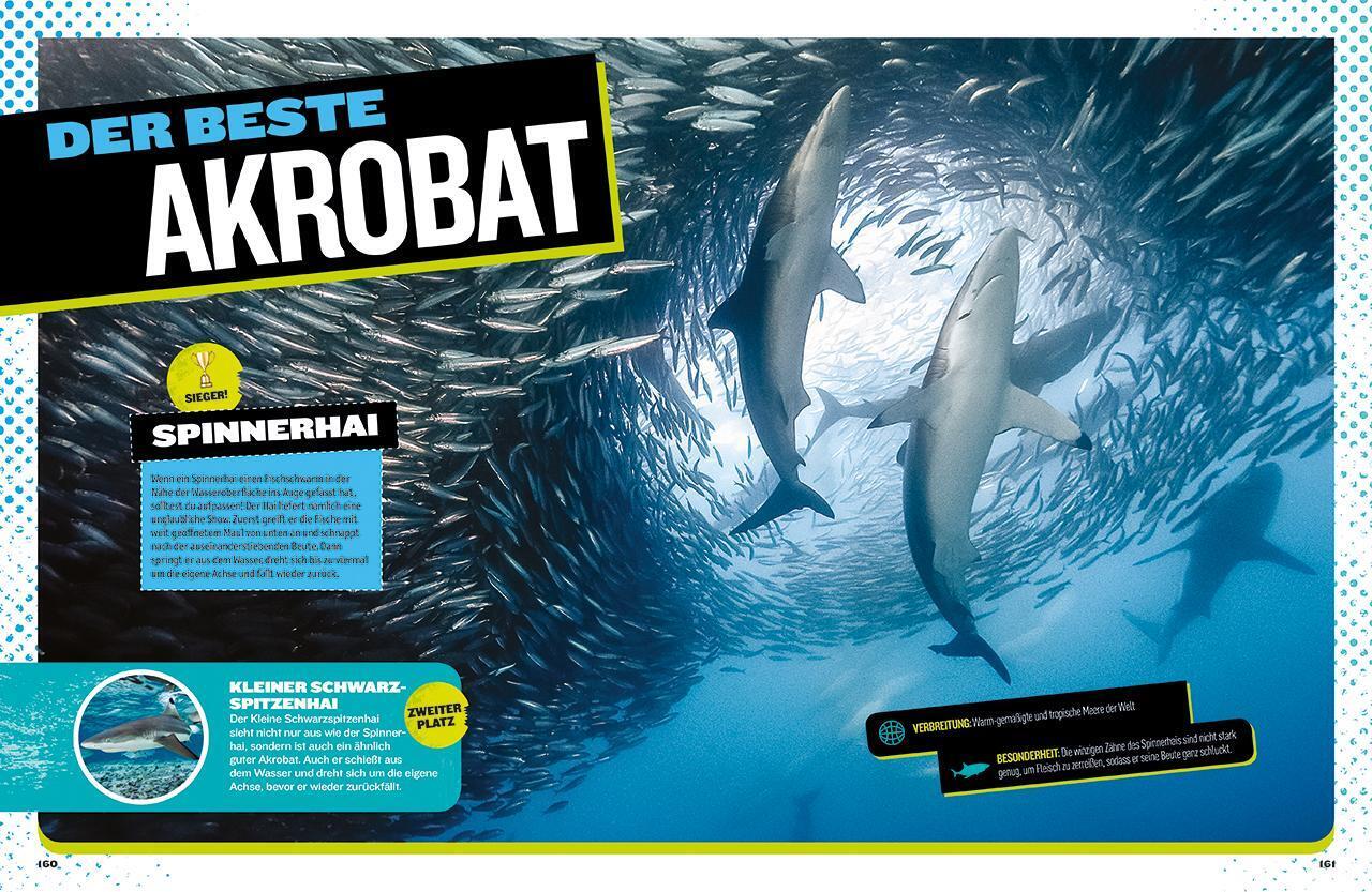 Thumbnail - Brian Skerry | Das Ultimative Buch Der Haie | Buch | Deutsch (2018) |