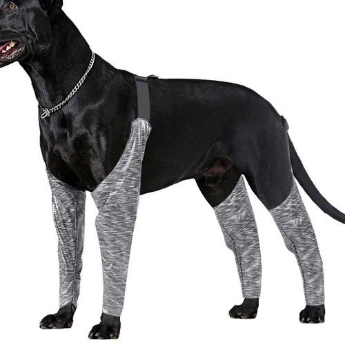 Neues Design verstellbare Hundehose und Ärmel, um zu verhindern, dass Hund Regenerationsanzug lecken - Bild 3 von 16