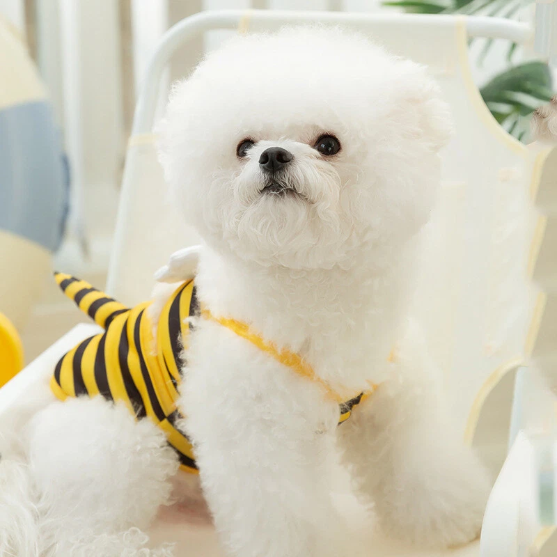 Summer Dog Cute Bee Pattern Swimwear Cat Swimdress Pet Bikini Teddy Dog Clothes - Image 3 of 4