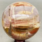 Natural Petrified Wood Polished Stone Quartz Crystal Sphere Ball Healing 1480G — photo 7