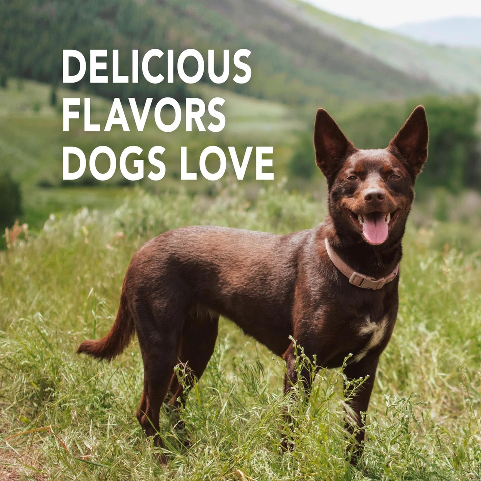 Pasta de dientes para perros y cachorros, limpia dientes y combate el mal aliento, reduce... Foto 3 de 4