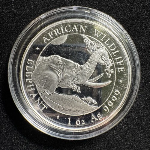 2023 Somalia Silver Elephant 1 oz — photo from the most recent tracked eBay sale