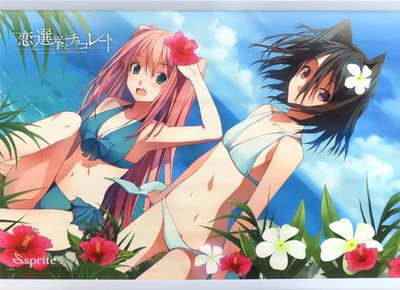 Sumiyoshi Chisato Misan Morishita Love Election B2 Wandteppich Sammlerstück K...