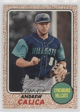 2017 Topps Heritage Minor League Edition Andrew Calica #109 7j9