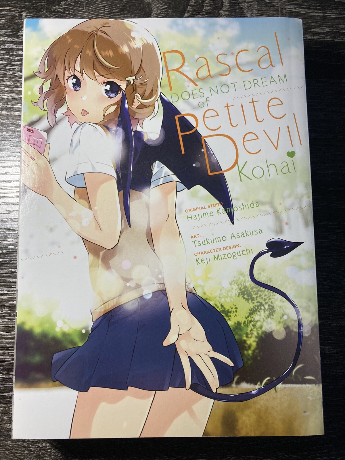 Rascal Does Not Dream Of Petite Devil Kohai (manga) | eBay