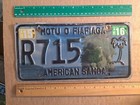 License Plate, U.S. Territory, American Samoa, 2015f, R (Rental) 715, Palm Tree