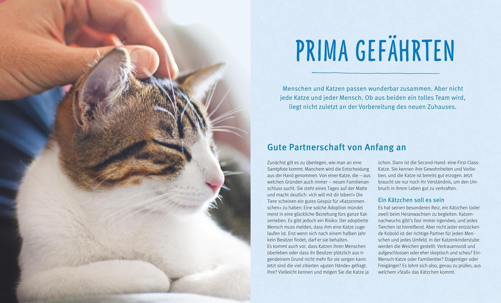 Thumbnail - Brigitte Eilert-overbeck Katzen