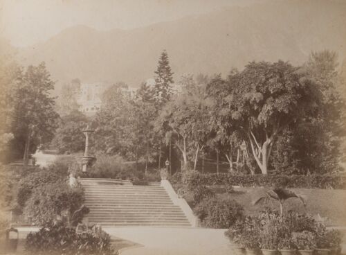 c1870 Lai Afong Chine Hong Kong Jardin public imprimé albumine vintage - Photo 1/2