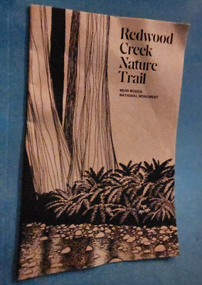 MUIR WOODS NATIONAL MONUMENT CA  5.5x 8.5  From Visit to Redwoods bought in 1983