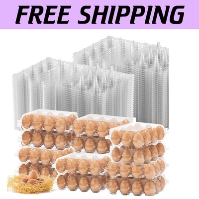 Eco-Friendly 180 Pack Egg Containers - Perfect for Farm Displays and Crafts