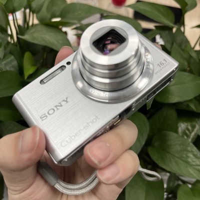 Sony Cyber Shot DSC-W730 8x Zoom 16.1MP Digital Camera English