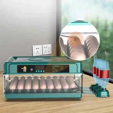 6-12 Eggs Incubator for Chicken Goose Bird Quail Automatic Incubation Equipment