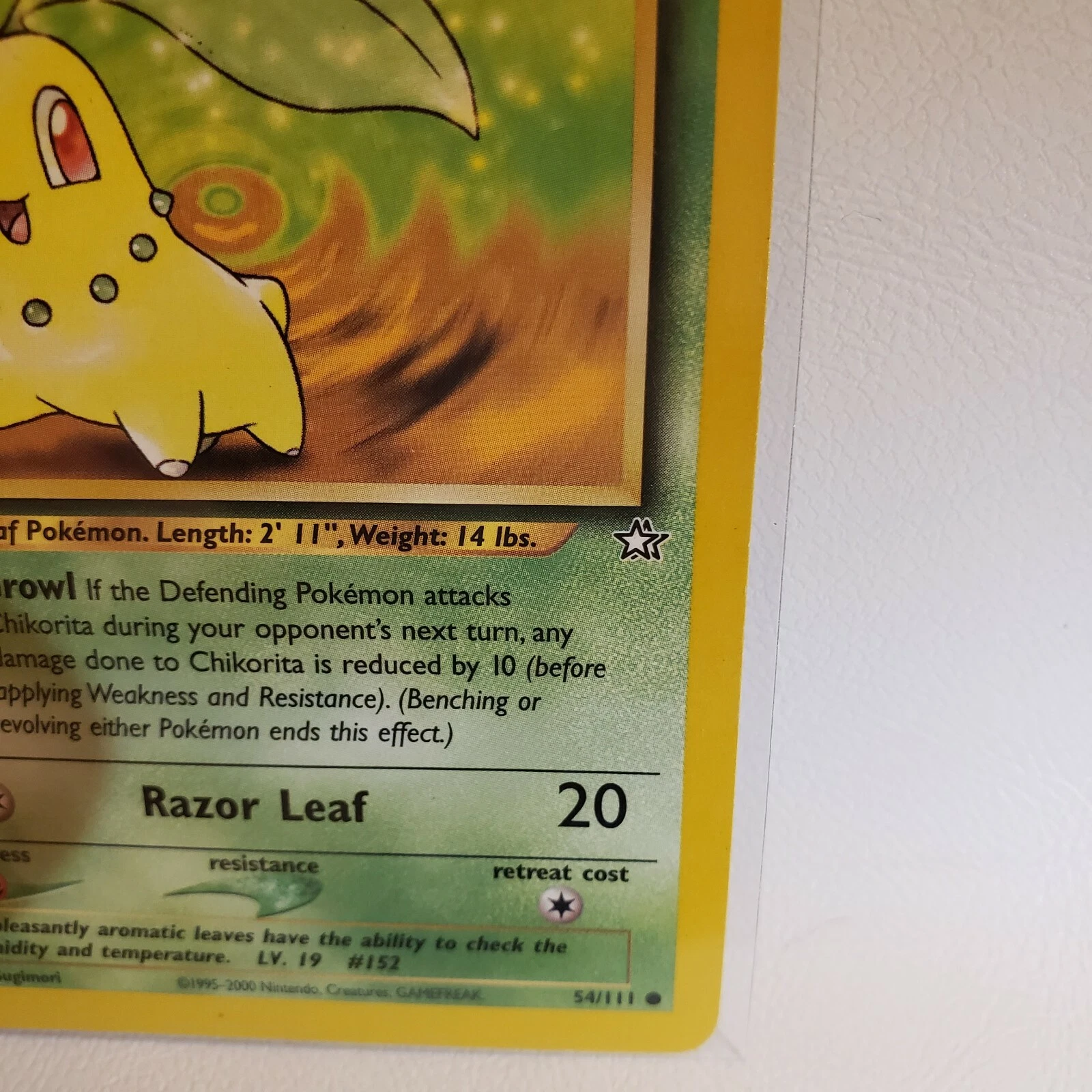 Picture 5 of 6
