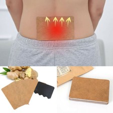 10Pcs Ginger Detox Patch Body Knee Neck Pad Herbal Pain Relief Weight Loss Pads