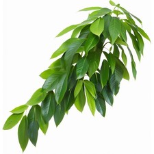 Reptile Terrarium Hanging Plant, Fake Plants for Reptile Enclosure, Ideal for...
