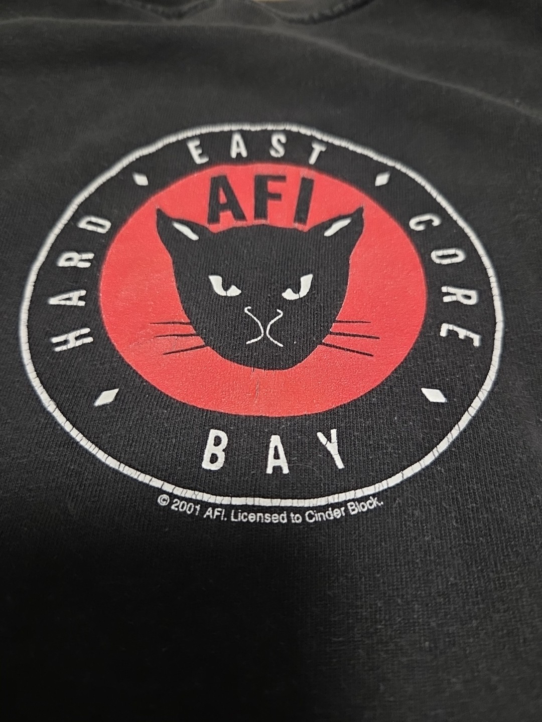 VTG 2001 AFI East Bay Hardcore T-Shirt Medium Hanes Cinder Block Double Sided image 6
