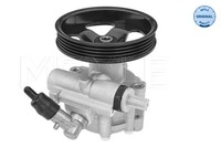 Meyle Servopumpe Hydraulikpumpe Servolenkung FüR CitroëN Jumper Kasten 244 2.2