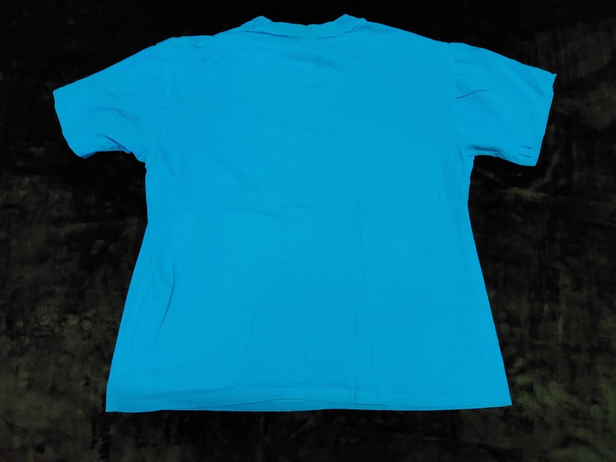 Vintage Charlotte Hornets T-Shirt Adult L NBA Basketball Looney