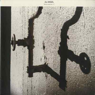 Dia Angel / ENTROPIEN I (LP) / Cosmo Rhythmatic / cr06 / 12 Inch LP