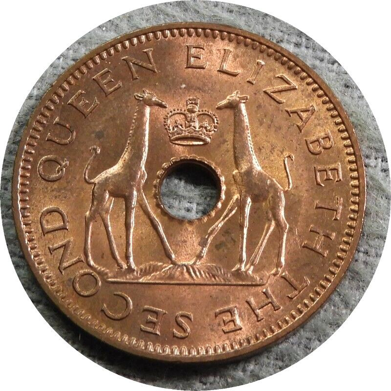 elf Rhodesia & Nyasaland 1/2 Penny 1958 Giraffe | eBay