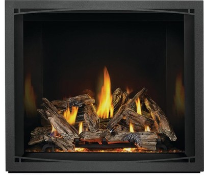 Napoleon Elevation EX42 42'' Premium Traditional Direct Vent Gas Fireplace, NG