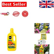 Miracle Gro 800ml All-Purpose Liquid Plant Food - Instant Green & Bloom Boost 8.74 per litre