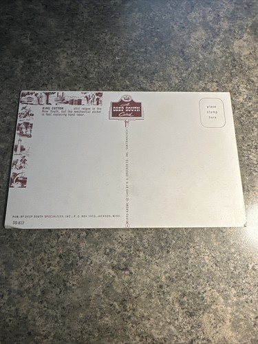 KING COTTON still reigns in the NEW SOUTH A DEEP SOUTH CARD - Unposted POSTCARD - Picture 2 of 9