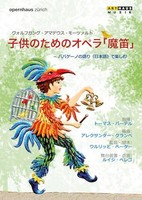 Orchestra Of The Zur - Magic Flute For Children - - Dvd - G4Z