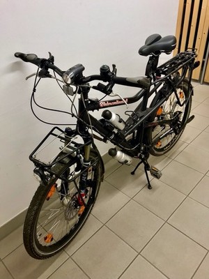 Riese & Müller Delite Intercontinental Extreme Rad Rohloff/Gustav/Magura/Fox/SON