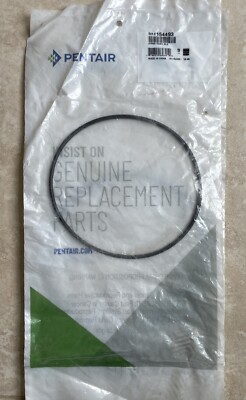 ka♡ Amazon.com: Pentair 154493 O-Ring Closure Replacement Pool