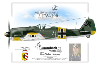 FOCKE WULF FW-190 Oblt. Walter Nowotny  Poster Profile