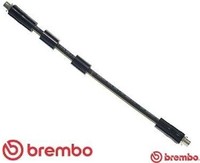 Brembo T85041 Bremsschlauch Vorderachse Vorne FüR Audi FüR VW