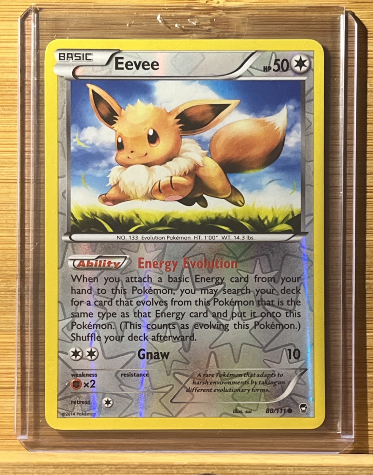 Pokémon TCG Eevee 80/111 XY-Furious Fists Reverse Holo Card Near Mint Condition