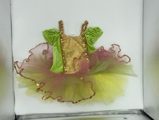 PRE-OWNED AWISH COME TRUE 13910 DANCEWEAR SC SIZE 5-7 GREEN/YELLOW/PINK/GOLD